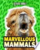 Marvellous_mammals