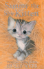 Sammy_the_shy_kitten