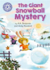 The_giant_snowball_mystery
